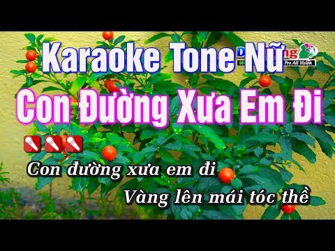 Karaoke || Con Đường Xưa Em Đi Tone Nữ || Nhạc Sống Duy Tùng