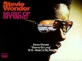 Stevie Wonder - Seems So Long (with lyrics)
