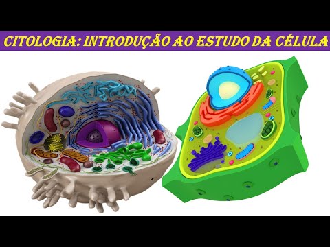 CITOLOGIA: INTRODUÇÃO AO ESTUDO DA CÉLULA