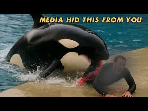 Orca Attack Worse Than Dawn Brancheau - Trainer Dragged By Killer Whale!