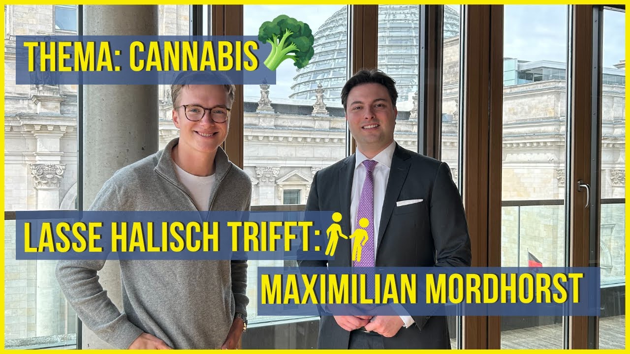 Maximilian Mordhorst (FDP) antwortet auf Fragen zur Cannabis Legalisierung / Lasse Halisch
