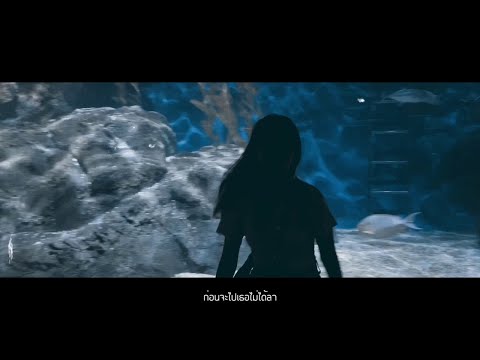 QLER - ธันวาคม