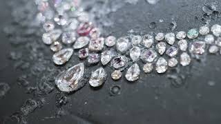 Harry Winston Crafted for Brilliance - Talk to Me, Collection