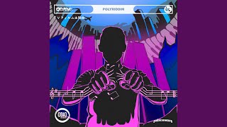 Cover art for polyriddim