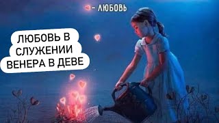 ВЕНЕРА В ДЕВЕ С 1 АВГУСТА - 2 СЕНТЯБРЯ 2026