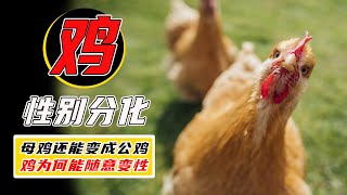 [問卦] 鳥真的會吃屎