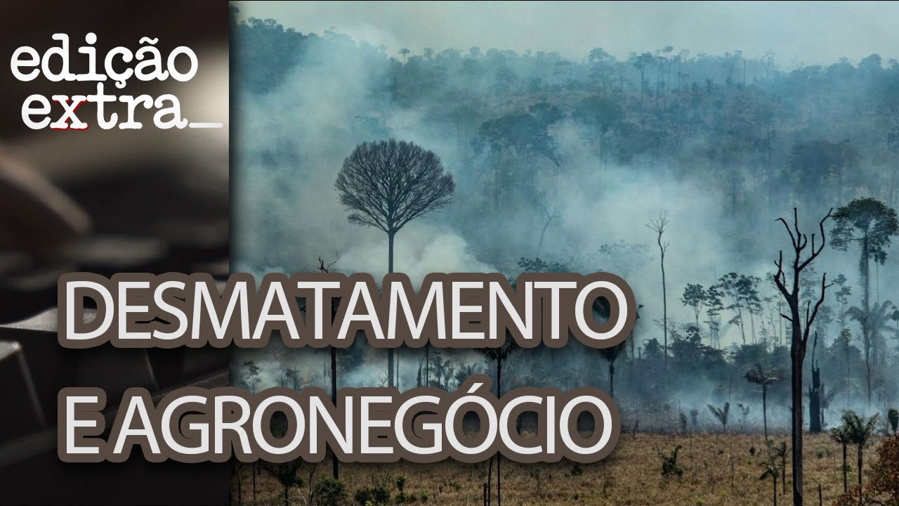 A relação entre o agronegócio e a degradação ambiental | Edição Extra - Dezembro 2019