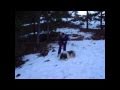 Barney Wmv