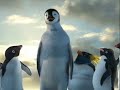 Happy Feet Mumble Takes A Leap English