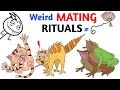 Worst Mating Rituals In Animal Kingdom Part 6