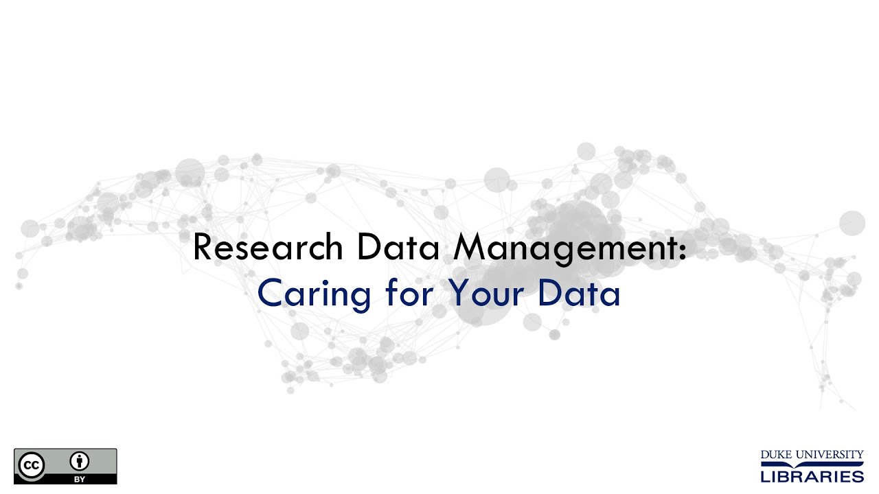 CDVS Research Data Management Services Overview