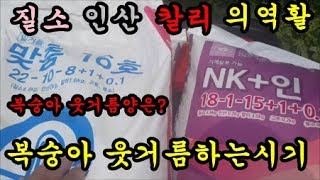 복숭아농사 복숭아웃거름하는시기 와 NK비료와 밑비료의 다른점과 질소인산칼리의 식물의역활에 대해서 이야기 해보…