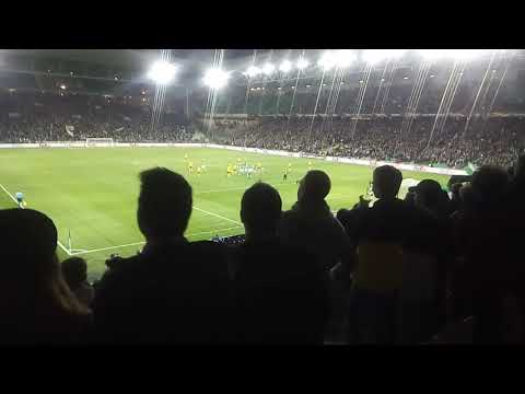 Saint Etienne - Olexandrïia, Ambiance après le but de Silva 1-0