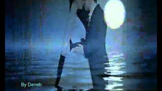 Toda una vida: Sole Gimenez