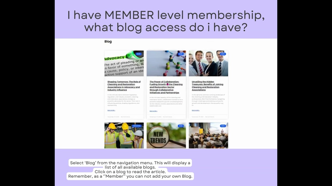 Member - Blogs
