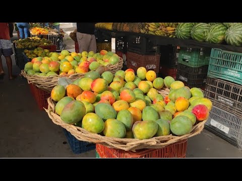 Feira Livre de Minador do Negrão. 06/12/2025 Alagoas. Nordeste - Brasil 