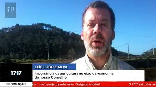 A importância da agricultura no eixo da economia de um Concelho