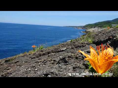 【佐渡空撮】景色最高！波蝕甌穴群 （はしょくおうけつぐん）