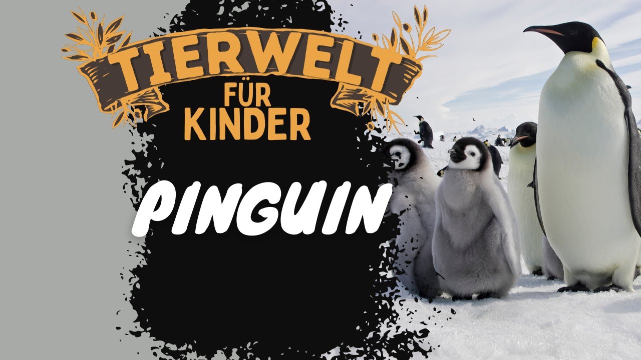Folge 8: Pinguine - Tierwelt für Kinder - Lernvideo auf Deutsch