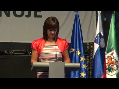 Prireditev Obrtnik leta 2014 v Ljutomeru