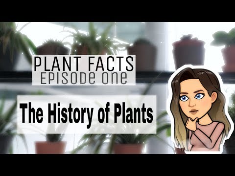 Plant Facts | Episode 1 | The History of House Plants