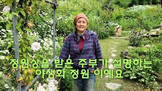 정원상을 받은 주부가 설명하는 수백평에 야생화 정원