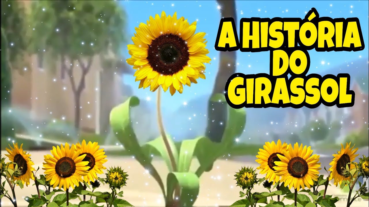 QUAL O SENTIDO DA VIDA? // A História Do Girassol