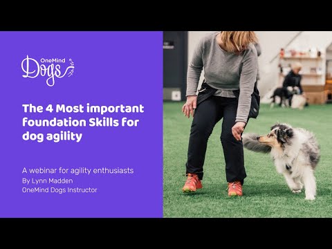 FREE Webinar: The 4 Most Important Foundation Skills For Dog Agility