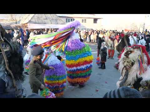 Jocul caprei din Poiana-Livezi. Datini si obiceiuri sf. de an 2024 Helegiu jud.  Bacau.