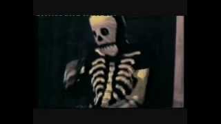 The Television Personalities - &#39;Strangely Beautiful&#39;