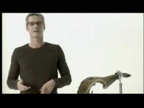 e-magik | ijam campaña de Shackleton (completo en español)