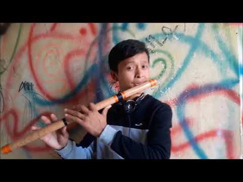 Despacito - Luis Fonsi | New Flute Cover | Biman Rai | Melody