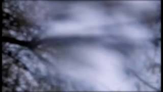 Nikola Nešković - Simon Vejl - EP Zapevaj (2017) - (Official Video)