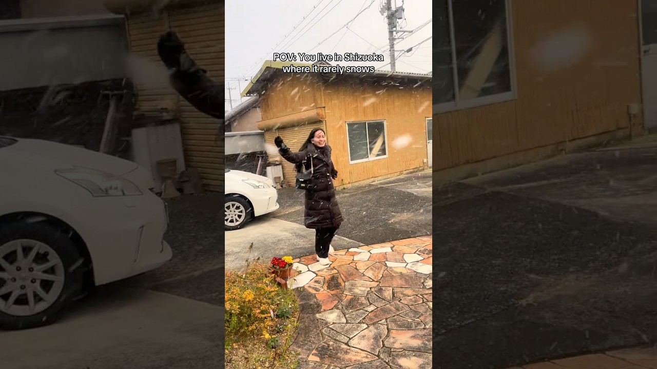 You experience falling snow for the first time as an adult!