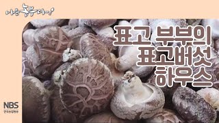 [나는농부다 230회] 표고 부부의 표고버섯 하우스