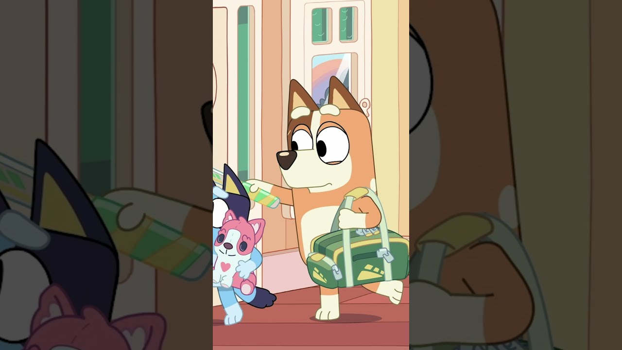 Time for Chilli! | Bluey