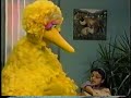 Sesame Street Scenes From Episode 3593