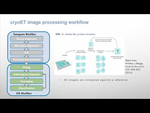 Image processing made simple with ScipionTomo.