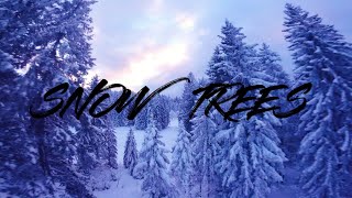 AFTER XMAS ???? FPV snow ❄ trees party