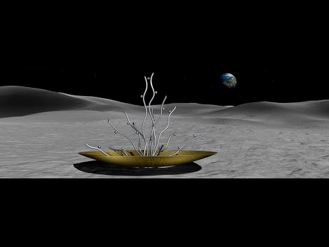 THE FIRST DEPLOYABLE SCULPTURE ON THE MOON 🚀🌗