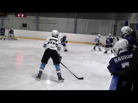 HAKI White - Pelicans Valkoinen 1  erä