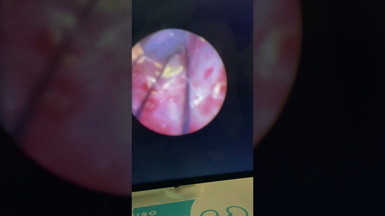 Marco Aurélio Rozado Basso-8