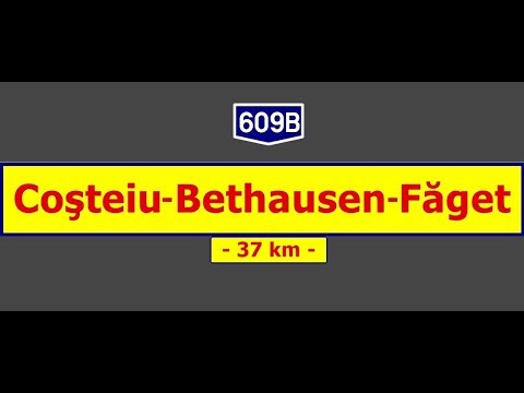 DJ 609B: Coşteiu - Bethausen - Făget (June 9, 2017)