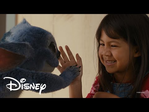 [릴로 & 스티치] 우리집 금쪽이를 소개합니다