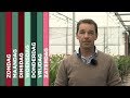 TV West Weekoverzicht 7 april 2018