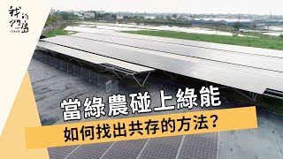 [分享] 我們的島:當綠農碰上綠能(台糖港墘農場)