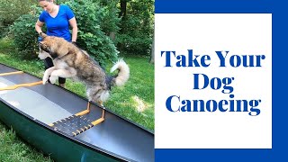 Teach Your Dog To Love Your Canoe Or Kayak