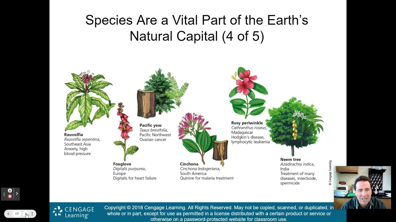 APES Chapter 9 Part 1 Updated