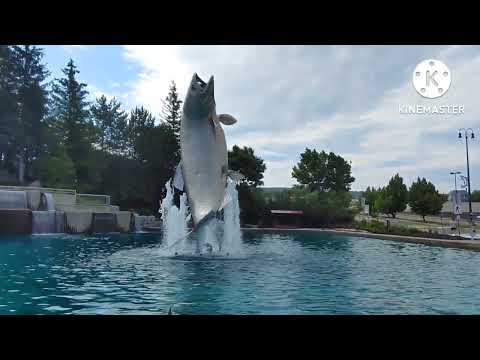 Passeio a pé pelo centro de Campbellton, New Brunswick. 21 de julho de 2022.