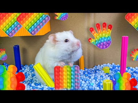 Hamster Escapes the Amazing Pop It Maze  for Pets in Real Life